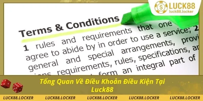 Tổng quan về chính sách điều khoản của nền tảng